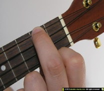 Ukuleles