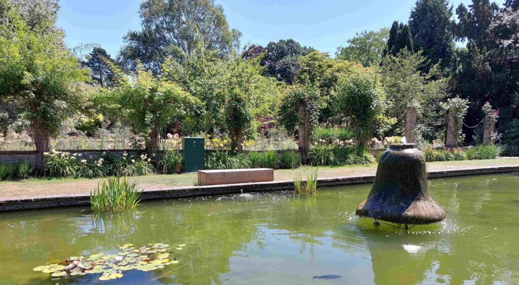 Pond