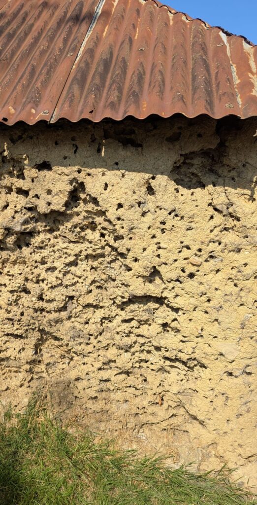 Mud Wall Foxton